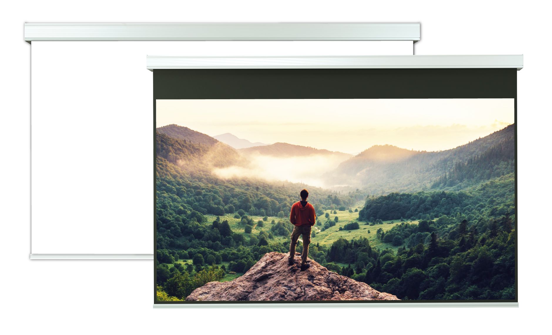 Screenline LODO EVOLUTION Home Vision 221
